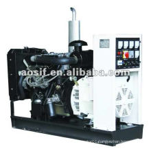 Yangdong 24KW electric power diesel generator